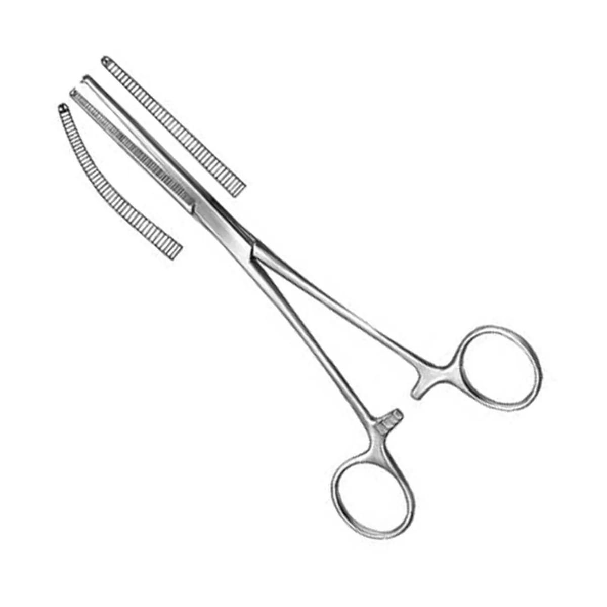 Kocher hemostatic forceps with toothed interlocking tip for dense tissue